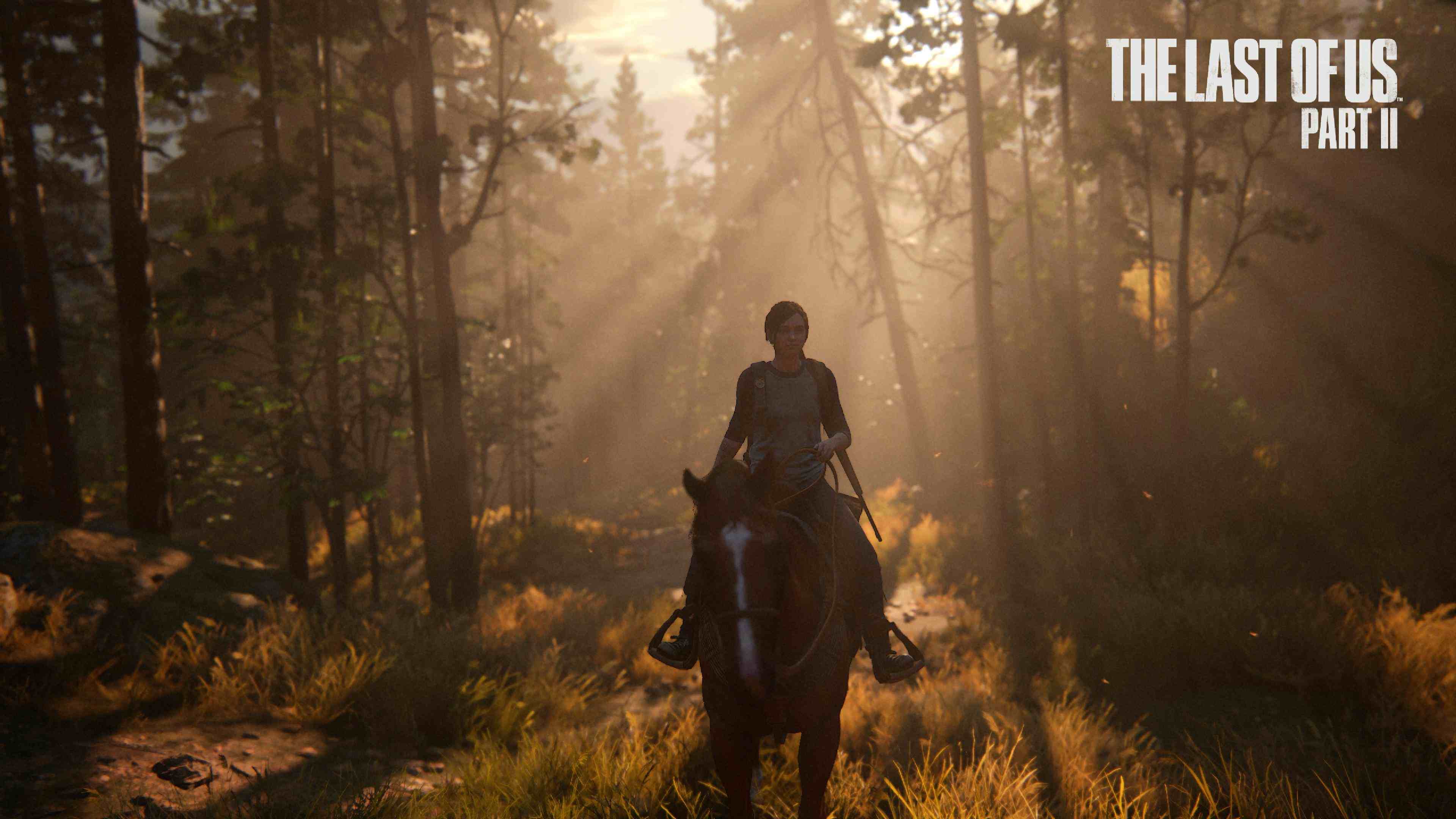 The Last of Us™ Part II_20210104225750